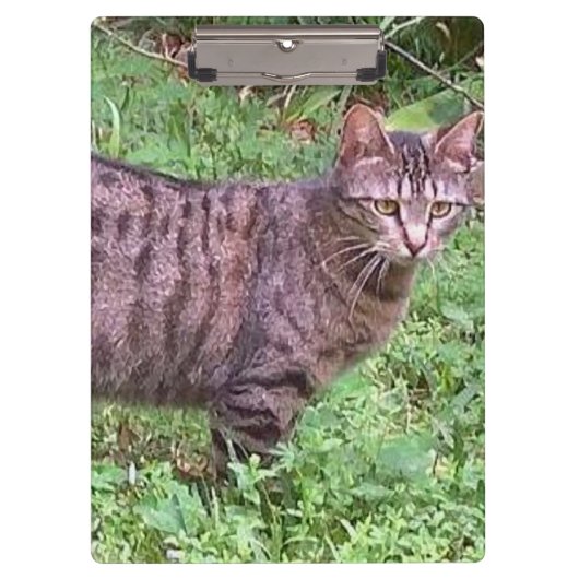 Bruine tablet in openlucht klembord (Voorkant)