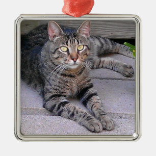 Bruine tablet in openlucht metalen ornament