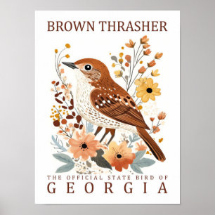 Bruine Thrasher Bird of Georgia Verenigde Staten R Poster
