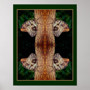 Bruine Uil Vlinder Close Up Natuur Abstract Poster