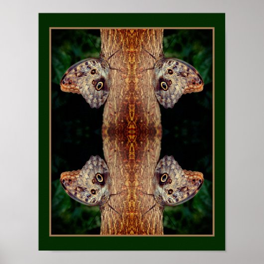 Bruine Uil Vlinder Close Up Natuur Abstract Poster (Voorkant)