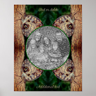 Bruine Uil Vlinder Lijst Creëer Uw Eigen Foto Poster