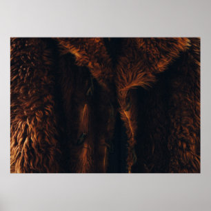 Bruine vacht poster