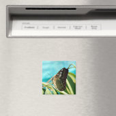 Bruine vlinder gesloten vleugels magneet (Insitu (Vaatwasser))