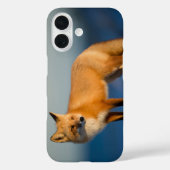 Bruine Vos Case-Mate iPhone Case (Achterkant)