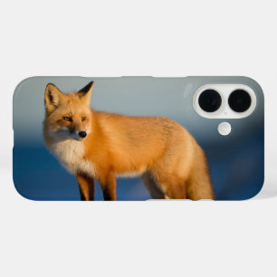 Bruine Vos iPhone 16 Hoesje