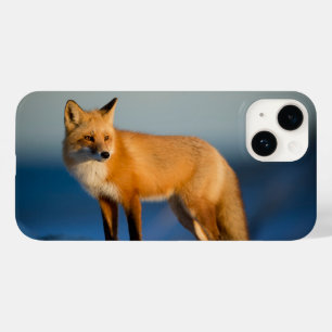 Bruine Vos iPhone 14 Hoesje