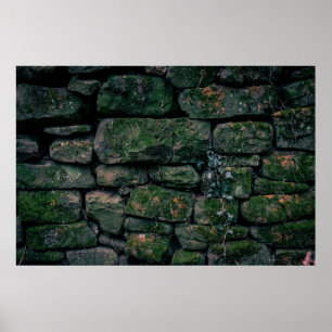 Bruine wijnstokken op gestapelde stenen blokken poster