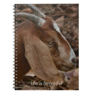 Bruine Witte Geit Kauai (mijn fotografie) Notitieboek