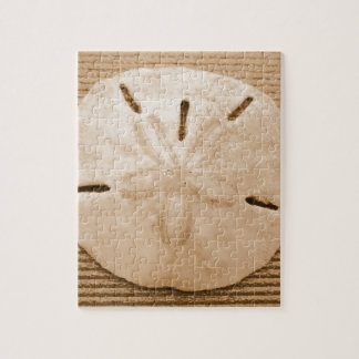 Bruine zanddollar legpuzzel