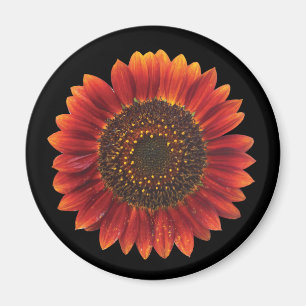 Bruine zonnebloem magneet
