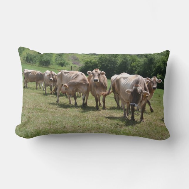 Bruine zwitserse dupplank kussen (Voorkant)