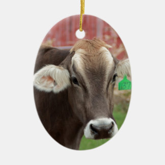 Bruine Zwitserse kool Keramisch Ornament