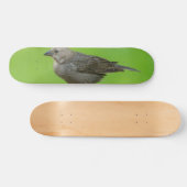 Bruinkopkoevogel Skateboard (Horizontaal)