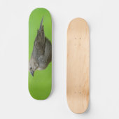 Bruinkopkoevogel Skateboard (Voorkant)