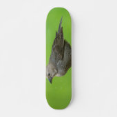Bruinkopkoevogel Skateboard (Voorkant)