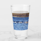 Bruinvissen van gewone dolfijnen glas (Achterkant)