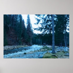Bruisende Bergstroom – Wilde Natuur Roemenië Poster