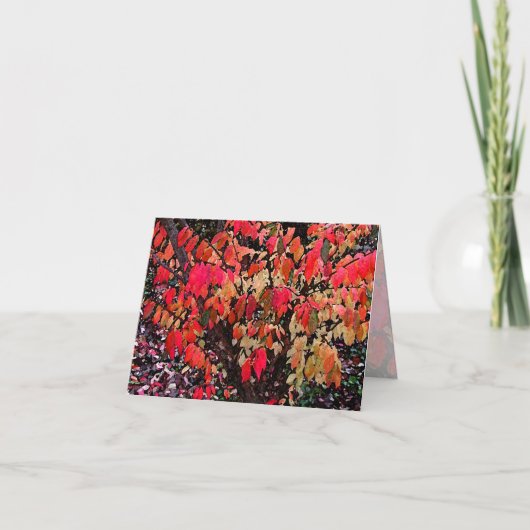 Brûler le Merci de Bush (Devant)