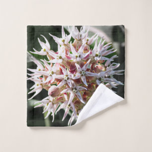 Brumeux blanc, Lait, Photographie Fleur