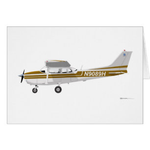 Brun de Cessna 172 Skyhawk