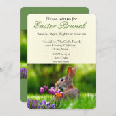 Brunch de Pâques avec Wild Rabbit Invitation de va (Devant / Derrière)