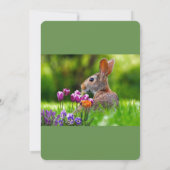 Brunch de Pâques avec Wild Rabbit Invitation de va (Dos)