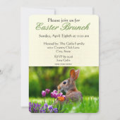 Brunch de Pâques avec Wild Rabbit Invitation de va (Devant)