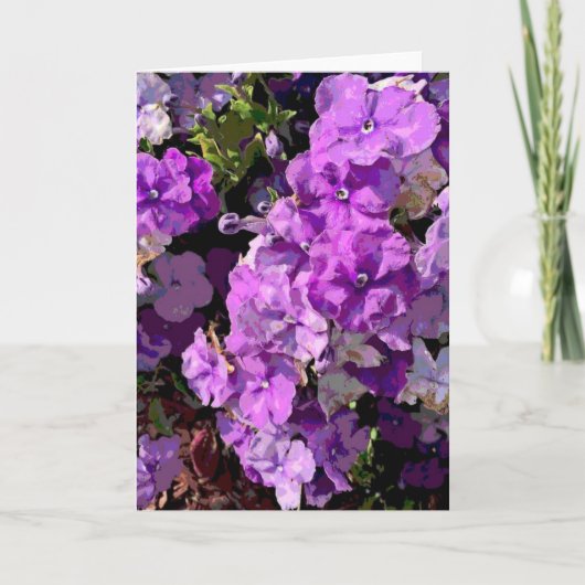 Brunfelsia Kaart (Voorkant)