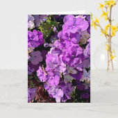 Brunfelsia Kaart (Gele Bloem)