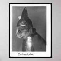 Brunhild Brunhilda Brynhild Brünhilde Cat