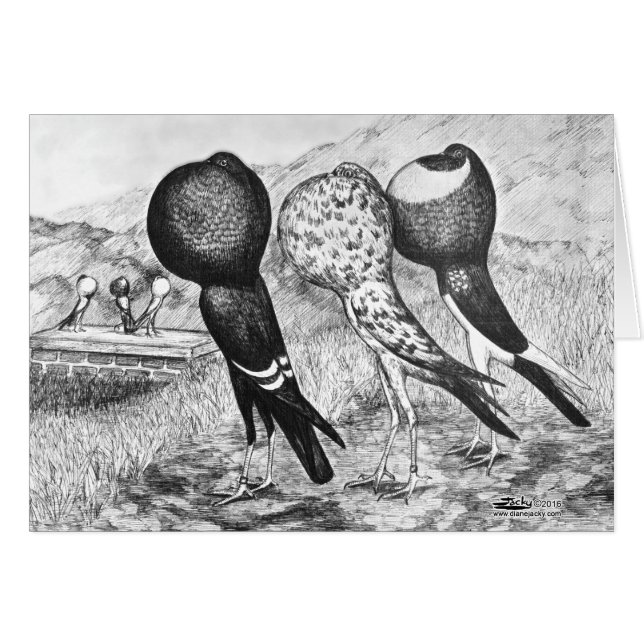 Brunner Pouter Pigeons (Devant Horizontal)