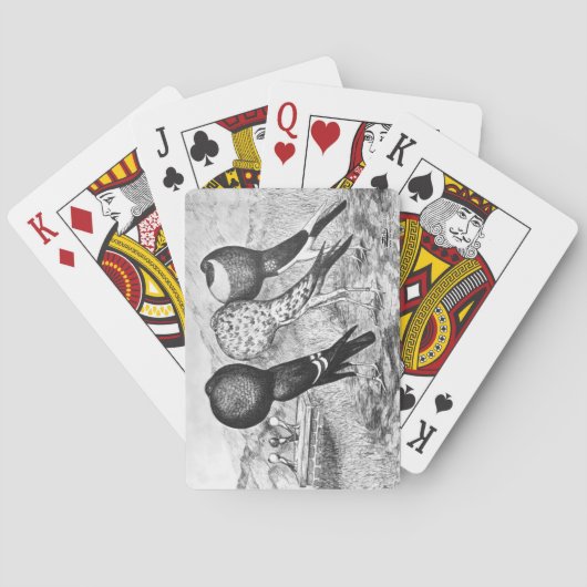 Brunner Pouter Pigeons Speelkaarten (Achterkant)