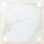 Brunnera Macrophylla Plant Leaf Floral Glazen Onderzetter (Achterkant)