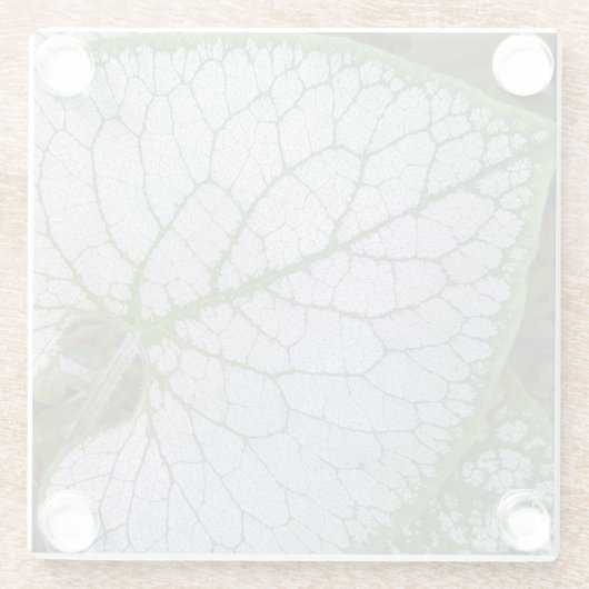 Brunnera Macrophylla Plant Leaf Floral Glazen Onderzetter (Achterkant)