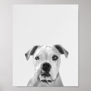 Bruno de Amerikaanse hond Poster