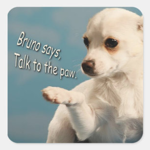 Bruno Dit Parler Au Sticker Paw