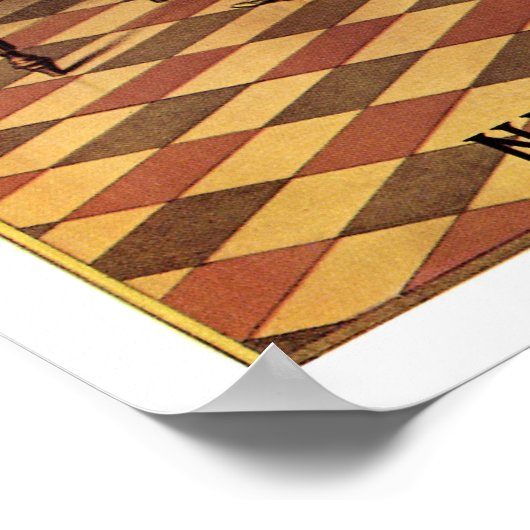 Brunswick & Balke Billiards Poster (Hoek)