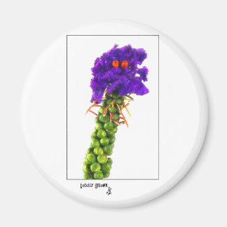 Brussel_Gezicht Magneet