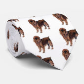 Brussel Griffon Stropdas (Opgerold)