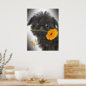 Brussel Griffon zwart met Daisy Poster (Keuken)