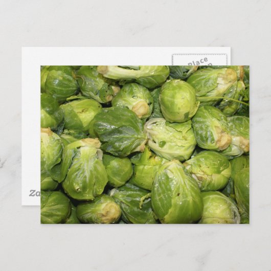 Brussel Sprouts Briefkaart (Voorkant / Achterkant)