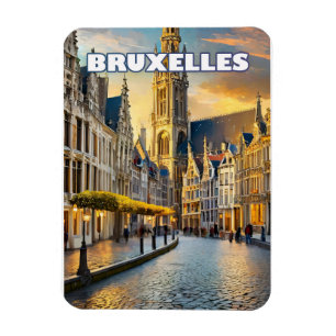 Brussel, stad van contrasten en charmes magneet