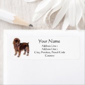 Brussels Griffon Adresetiketten Etiket (Insitu)