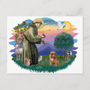 Brussels Griffon (bruin/rood) Briefkaart