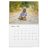 Brussels Griffon calendrier 2026 (Feb 2026)
