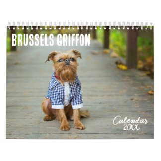 Brussels Griffon calendrier 2026