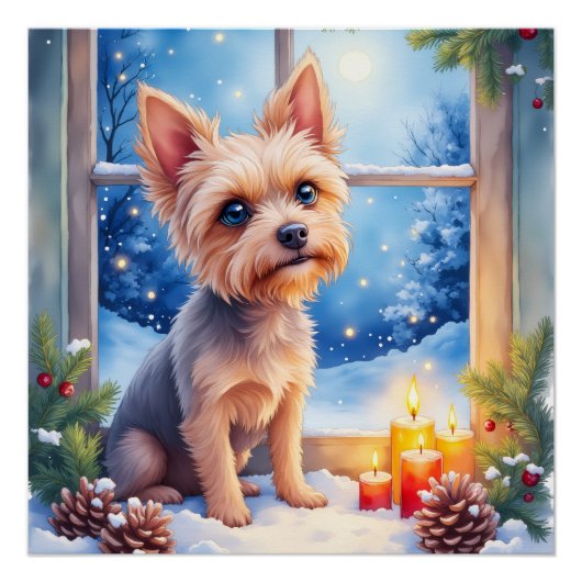 Brussels Griffon Frosted Window Christmas Art Perfect Poster (Voorkant)