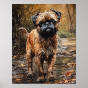 Brussels Griffon Hond Kunstprint Poster