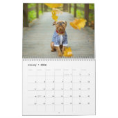Brussels Griffon kalender 2026 (Jan 2026)